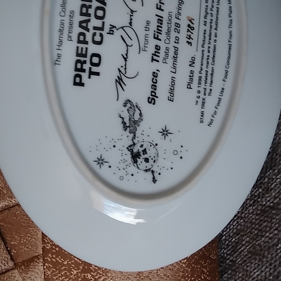Preparing to Cloak from Space The Final Frontier Star Trek oval collectors plate - Picture 6 of 14